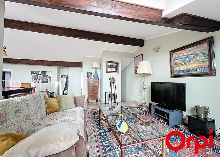 Apartment Grand Climatise Pour 4 Avec Animaux Admis A - Fr-1-647-9 *